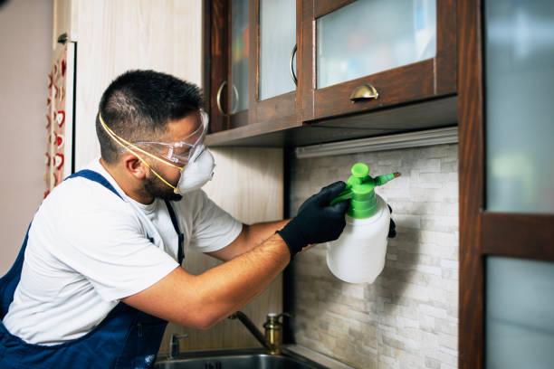 Best Affordable Pest Control Services  in Heritage Pines, FL