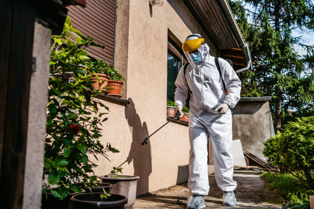 Best Wasp Removal Services  in Heritage Pines, FL