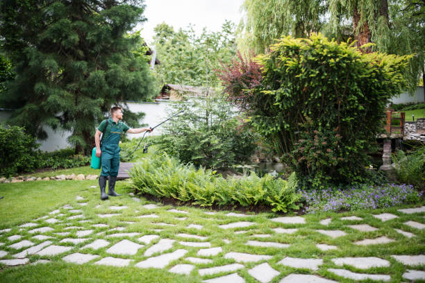 Best Mosquito Control Services  in Heritage Pines, FL
