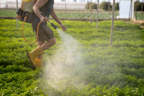 Best Local Pest Control Services  in Heritage Pines, FL