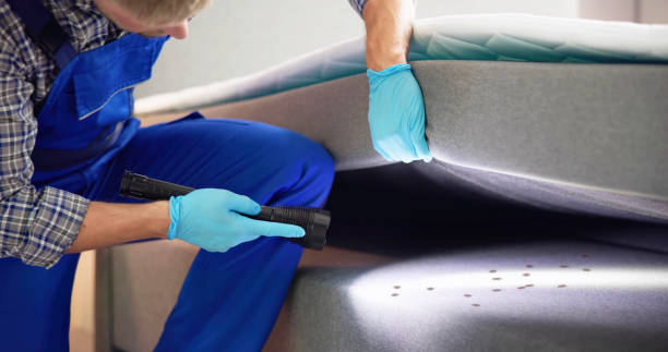 Best Best Pest Control Companies  in Heritage Pines, FL
