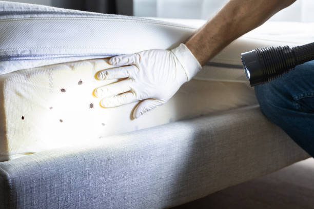Best Pest Control Treatment  in Heritage Pines, FL