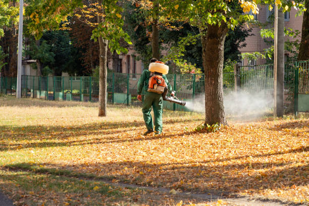 Best Best Pest Control Companies  in Heritage Pines, FL
