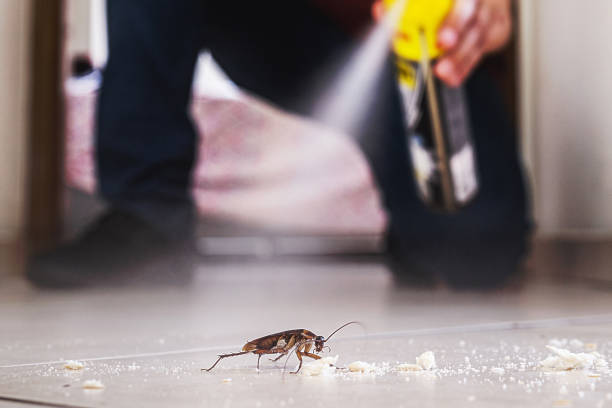 Wasp Removal Services in Heritage Pines, FL