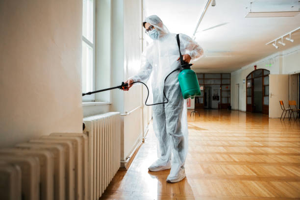 Professional Pest Control in Heritage Pines, FL