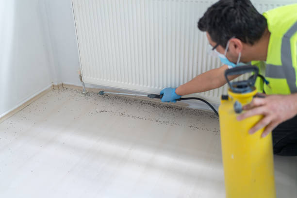 Best Termite Control Services  in Heritage Pines, FL