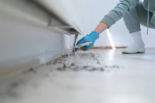 Best Emergency Pest Control  in Heritage Pines, FL